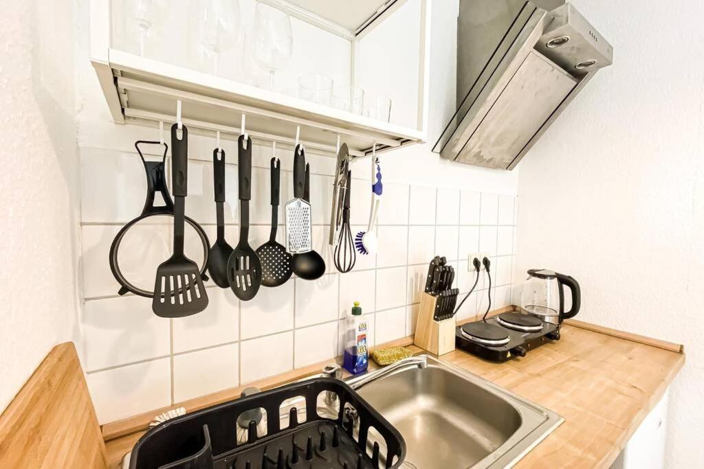 Apartment Am Auensee Mit Grosser Terrasse & Privat-Parkplatz Leipzig Eksteriør bilde