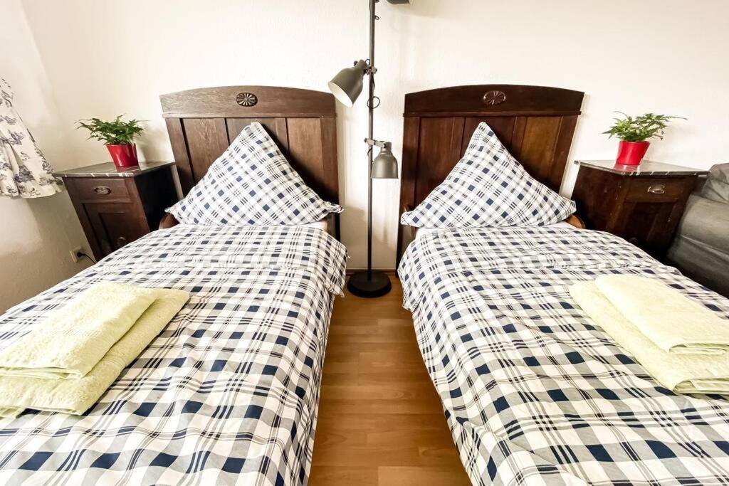 Apartment Am Auensee Mit Grosser Terrasse & Privat-Parkplatz Leipzig Eksteriør bilde